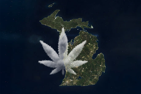 Michigan Cannabis Packaging Wholesale: Affordable, Compliant, and Custom Solutions - HiStandards Packaging