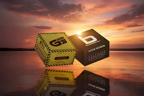 Custom Concentrate Jar Boxes for Cannabis Brands - HiStandards Packaging