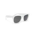 Custom Solid Color Sunglasses HiStandards