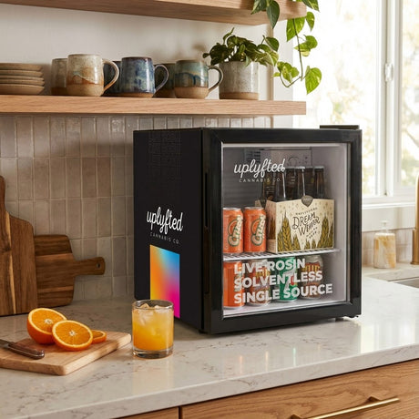 Small Counter Top Fridge