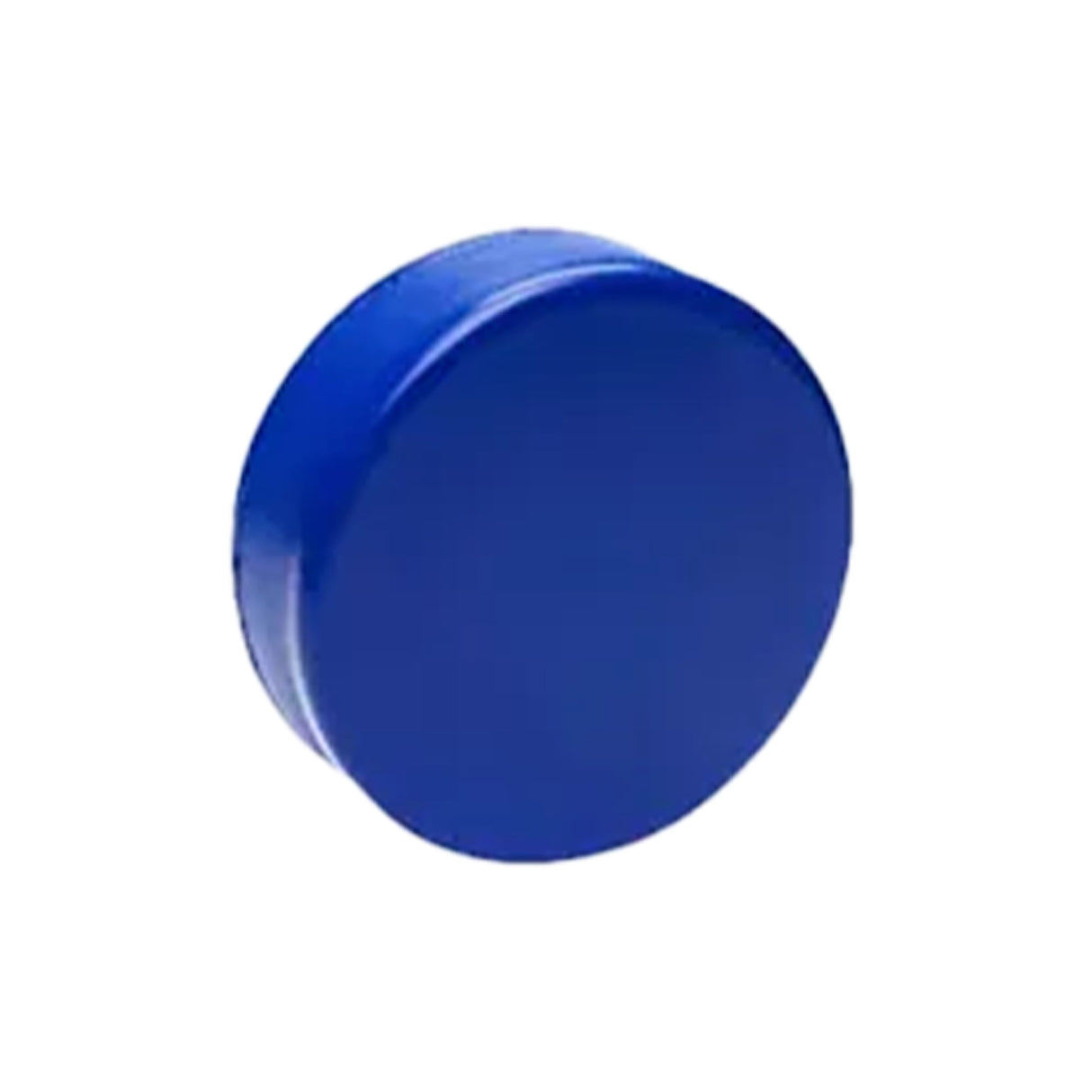 Custom Hockey Puck Stress Ball